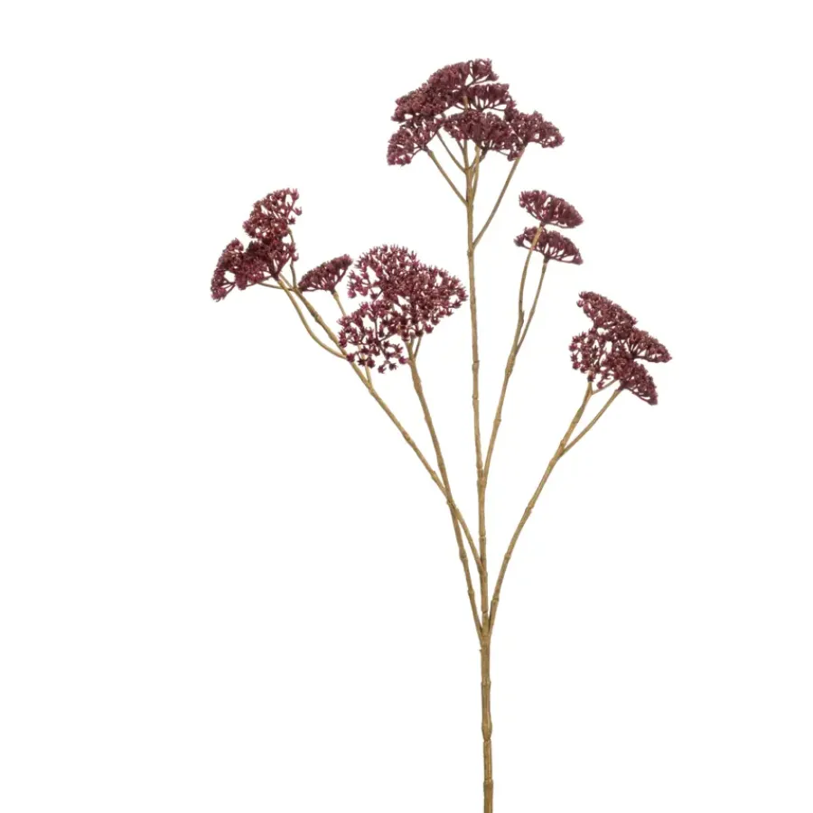 Emerald Achillea spray burgundy 72cm
