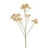 Emerald Achillea spray cream 72cm