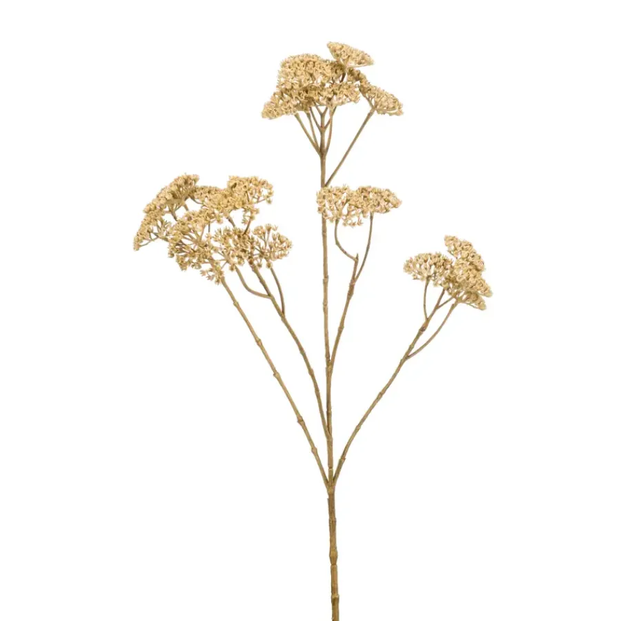 Emerald Achillea spray cream 72cm