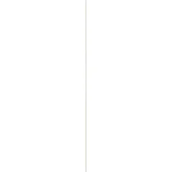 Afdeklijst grenen 4x22 mm lengte 270 cm