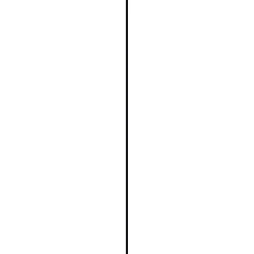Afdekprofiel kunststof 2x30 mm lengte 260 cm zwart