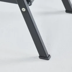 Altrex huishoudtrap Giant 2 treden zwart