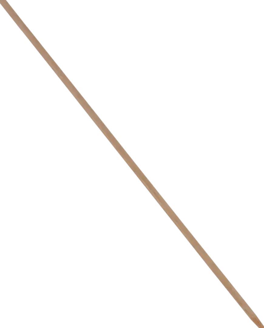 Bezemsteel hout 160 cm