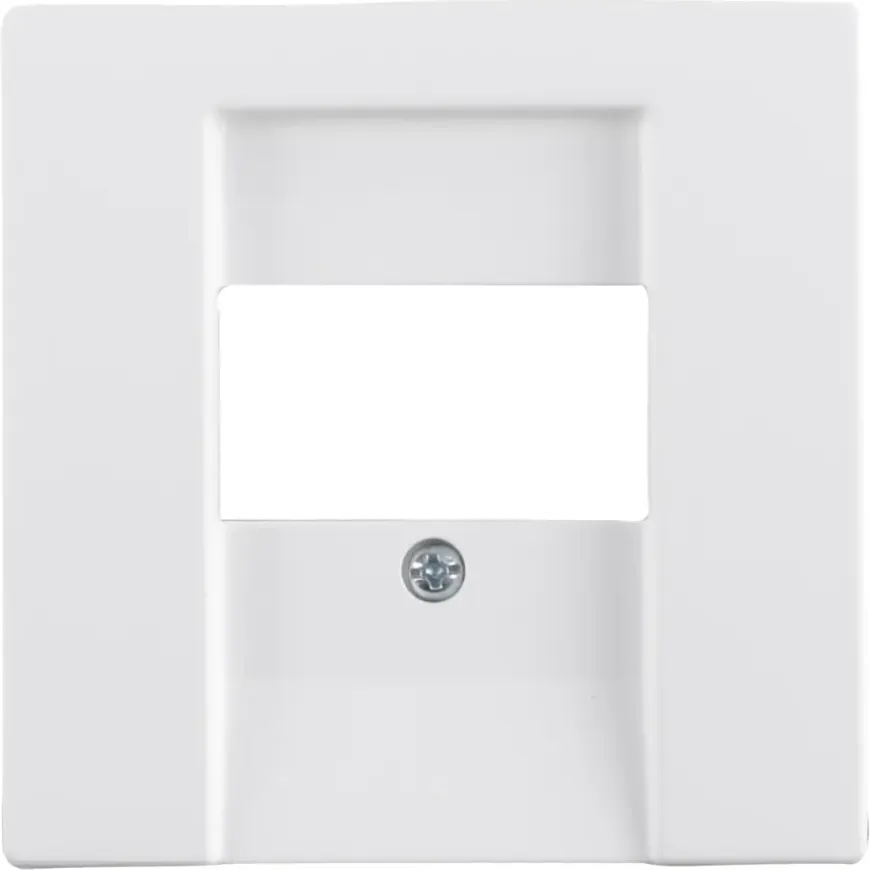 Busch-Jaeger Future Linear Afdekplaat USB Wit