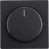 Busch-Jaeger Future Linear centraalplaat dimmer zwart