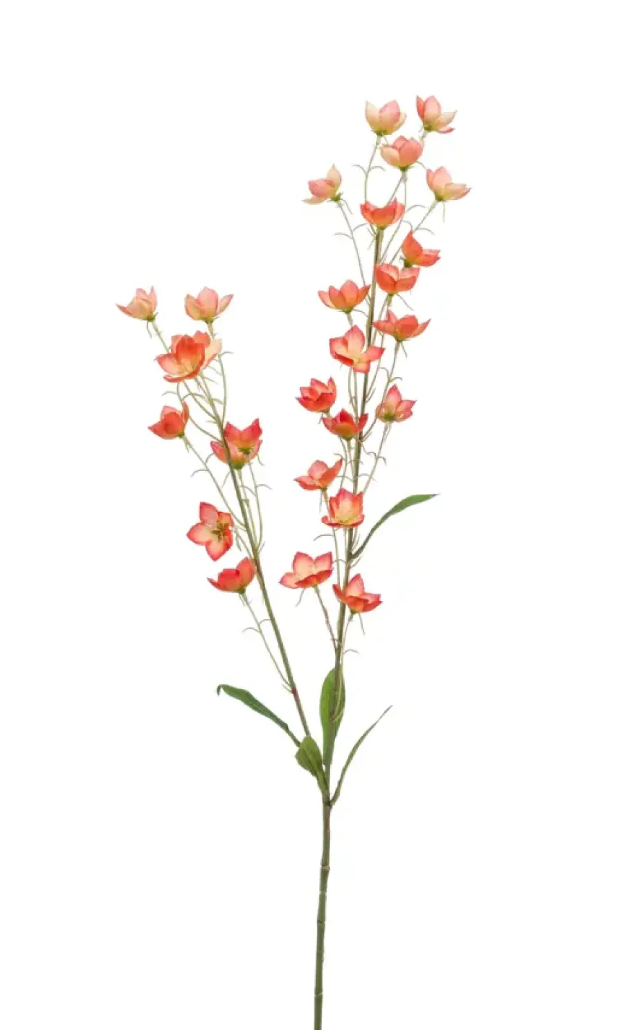Emerald Buttercup spray x2 orange 85cm