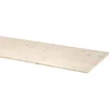 CanDo timmerpaneel 200x60 cm dikte 18 mm
