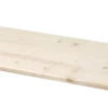 CanDo timmerpaneel 200x40 cm dikte 18 mm