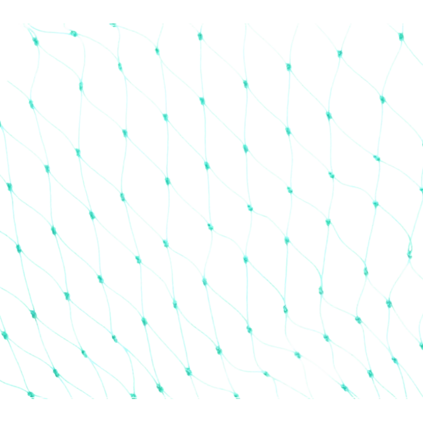 Carpoint Aanhangernet 160x250cm twisted