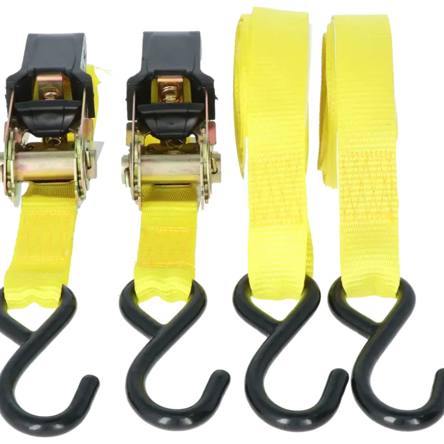 Carpoint Spanbandenset luxe met ratel 2 x 5 meter
