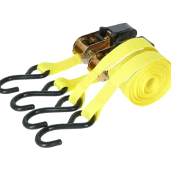 Carpoint Spanbandenset luxe met ratel 2 x 5 meter