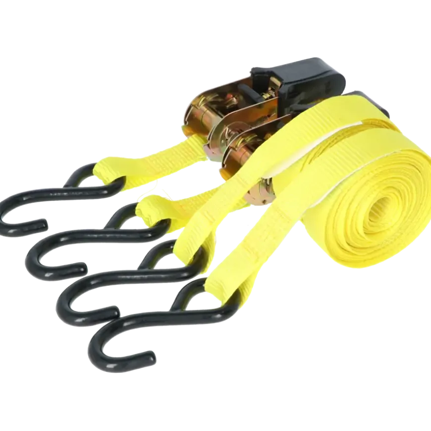 Carpoint Spanbandenset luxe met ratel 2 x 5 meter