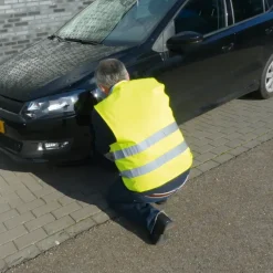 Carpoint Veiligheidsvest Oxford Geel XL