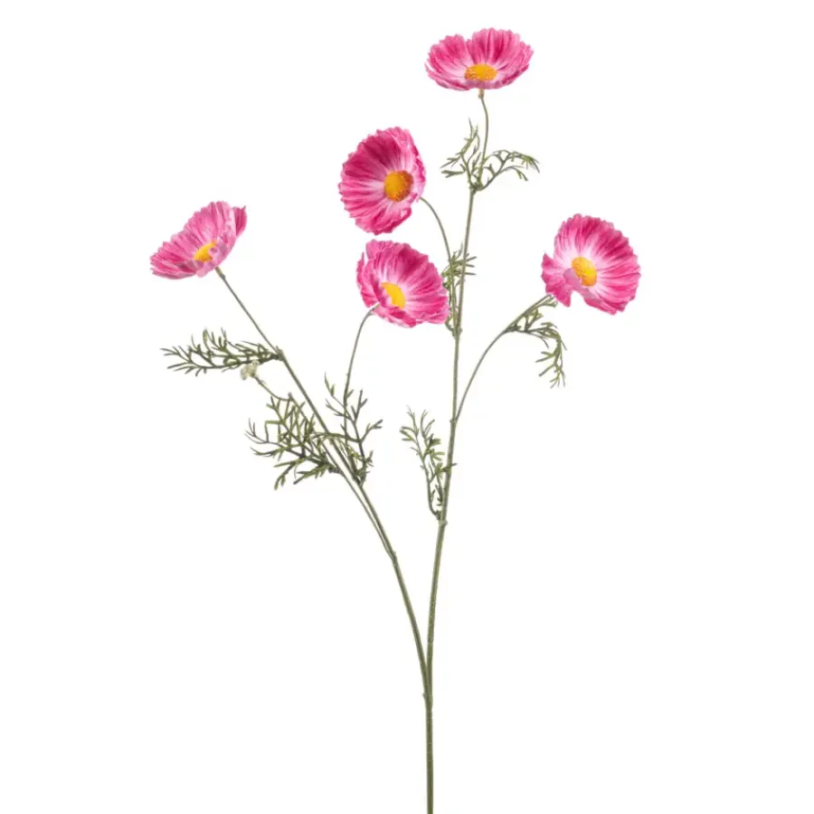 Emerald Cosmos spray roze 70cm