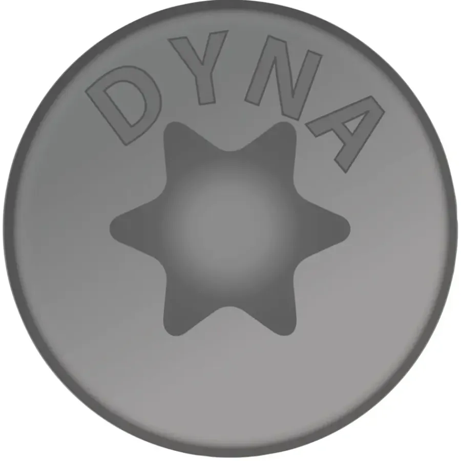 DYNAPLUS Schroef universeel platkop AR-coating TX-20 4.0x40 150 stuks