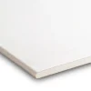 Gyproc gipsplaat 60x200 cm dikte 0,95 cm (RK)