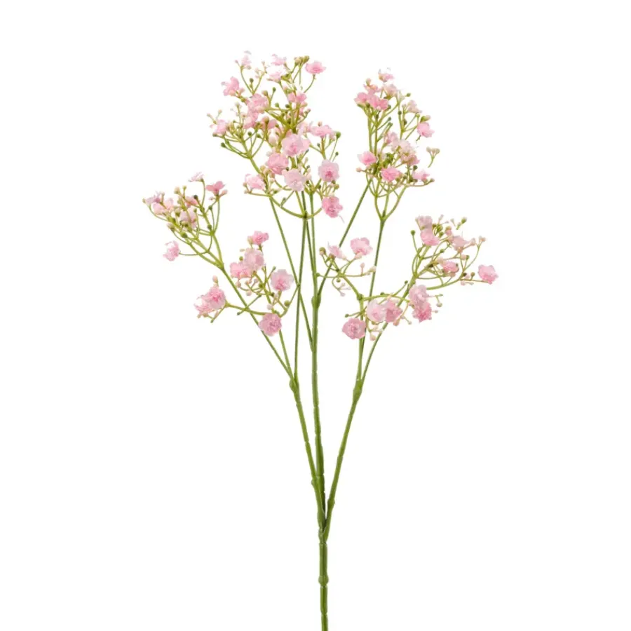 Emerald Gypsophila spray roze 68cm