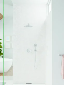 Hansgrohe douchekop Raindance handdouche 3 standen ø 12 cm chroom