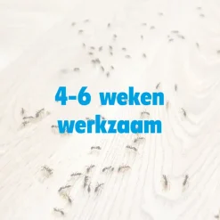 HG X spray tegen mieren 400 ml