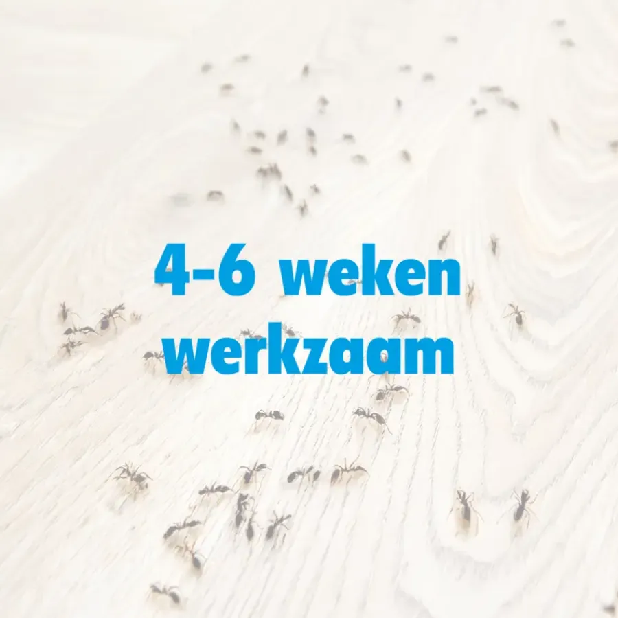 HG X spray tegen mieren 400 ml