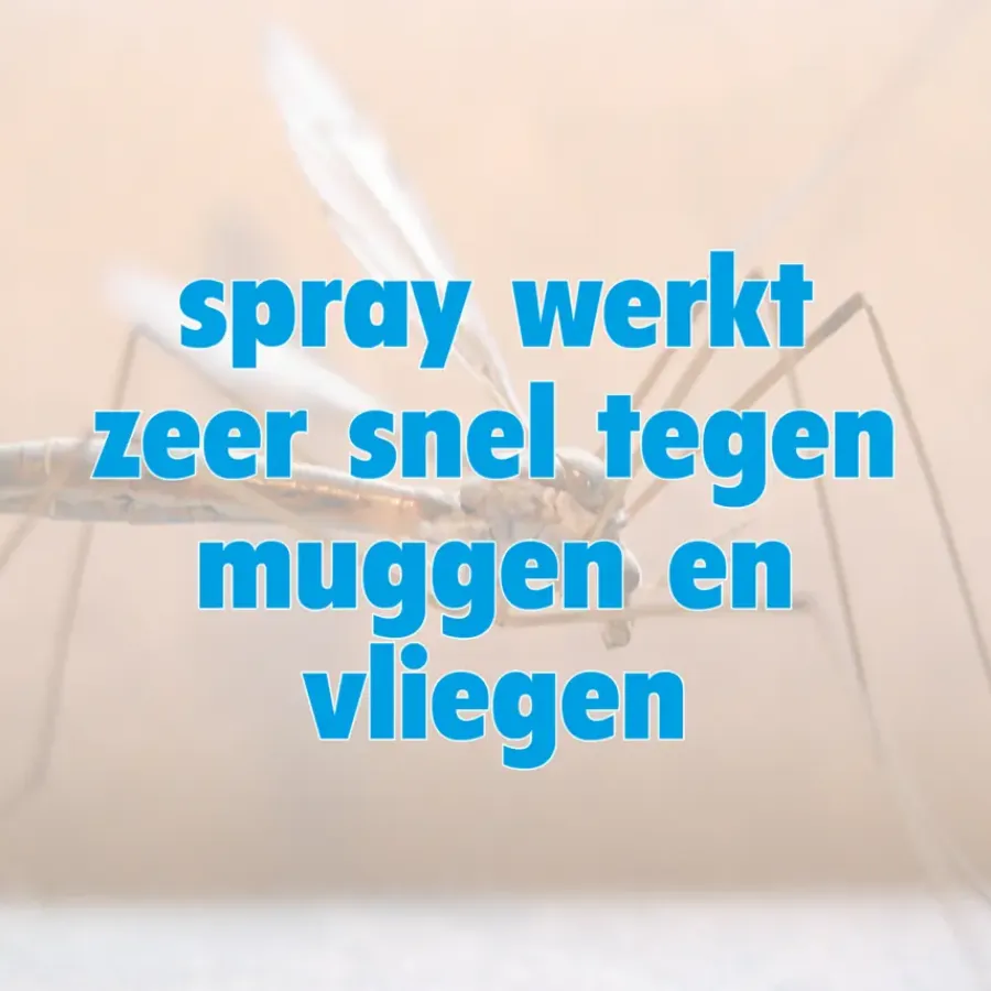 HG X spray tegen muggen en vliegen 400 ml