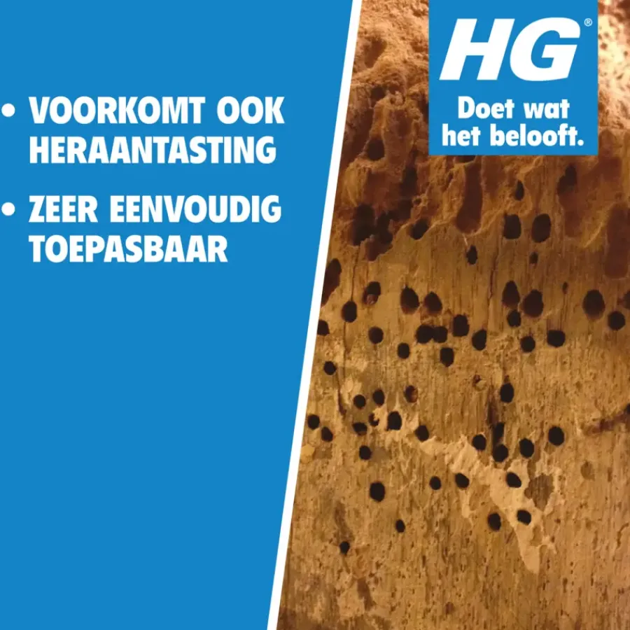 HG X tegen houtworm 500 ml