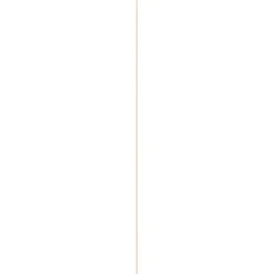 Hollat grenen 22x22 mm lengte 270 cm