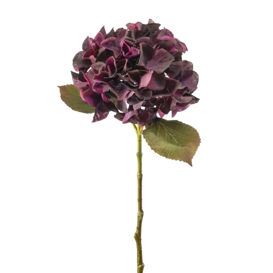 Emerald Hydrangea stem burgundy 47cm
