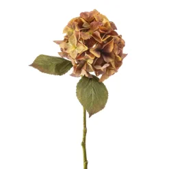 Emerald Hydrangea stem koraal 47cm