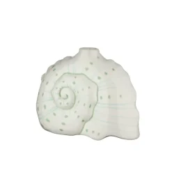 Geen Kandelaar schelp