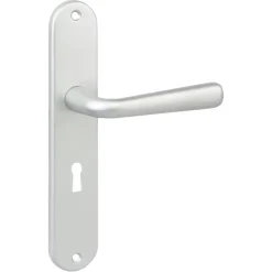 Karwei deurkruk set Spanje ovaal schild sleutelgat 56 mm ANOX aluminium mat