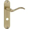 Karwei deurkruk set Vitor ovaal schild vrij-bezet sluiting 63/8 mm messing antiek