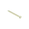 KARWEI spijker vermessingd 2x30 mm (50 stuks)