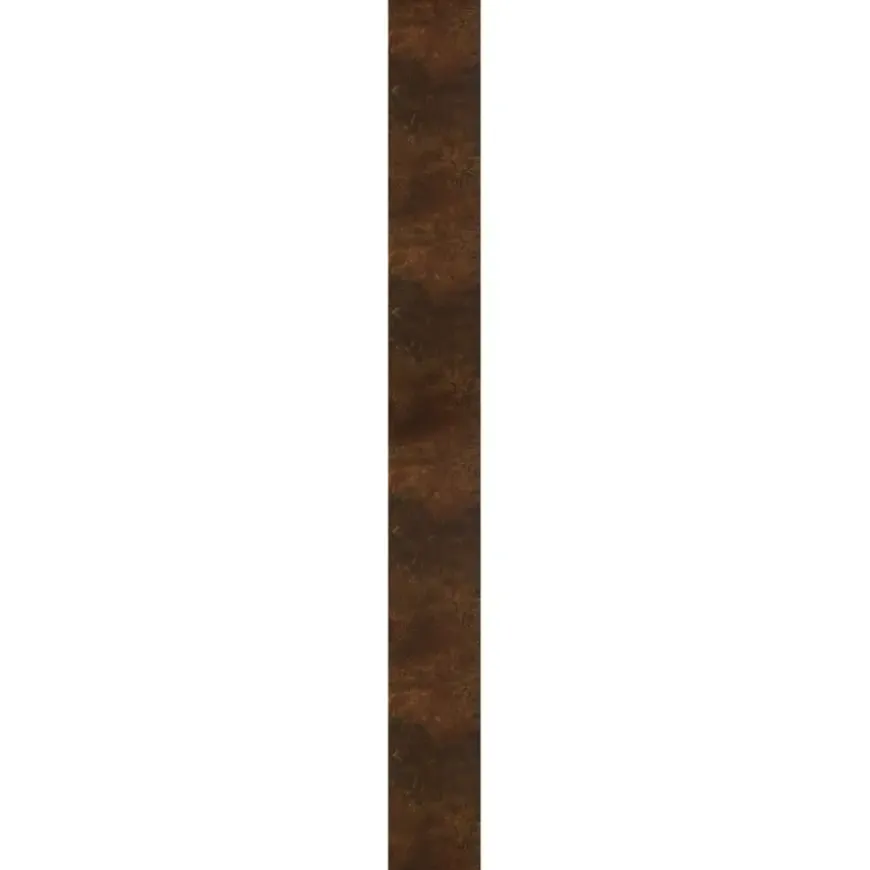 Kleurstaal decorpaneel roest 20x30 cm
