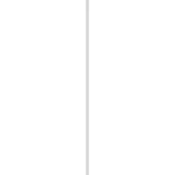 Koplat grenen recht gegrond 12x45 mm, lengte 270 cm