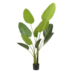 Geen Kunstplant Strelitzia in pot groen - h150xd25cm
