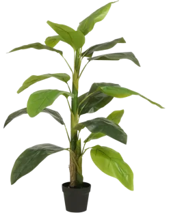 Geen Kunstplant Strelitzia in pot groen - h150xd40cm