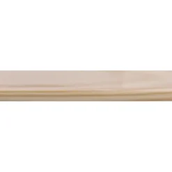 Lat grenen DD-vorm 18x55 mm lengte 210 cm