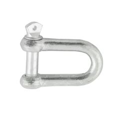 Ledent D-sluiting rvs (2 stuks)