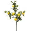 Emerald Lemon fruit spray 95cm