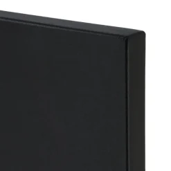 LIVN infraroodpaneel Excellent 350 60x60 cm zwart