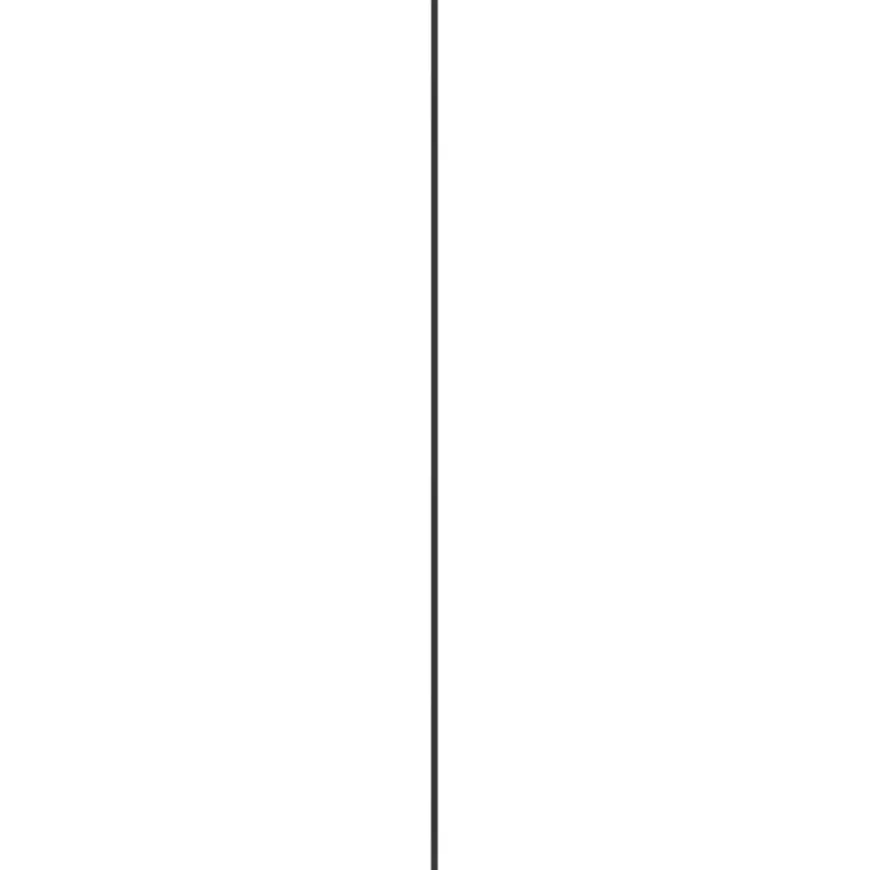 MDF-plaat zwart 244 x 122 cm 18 mm