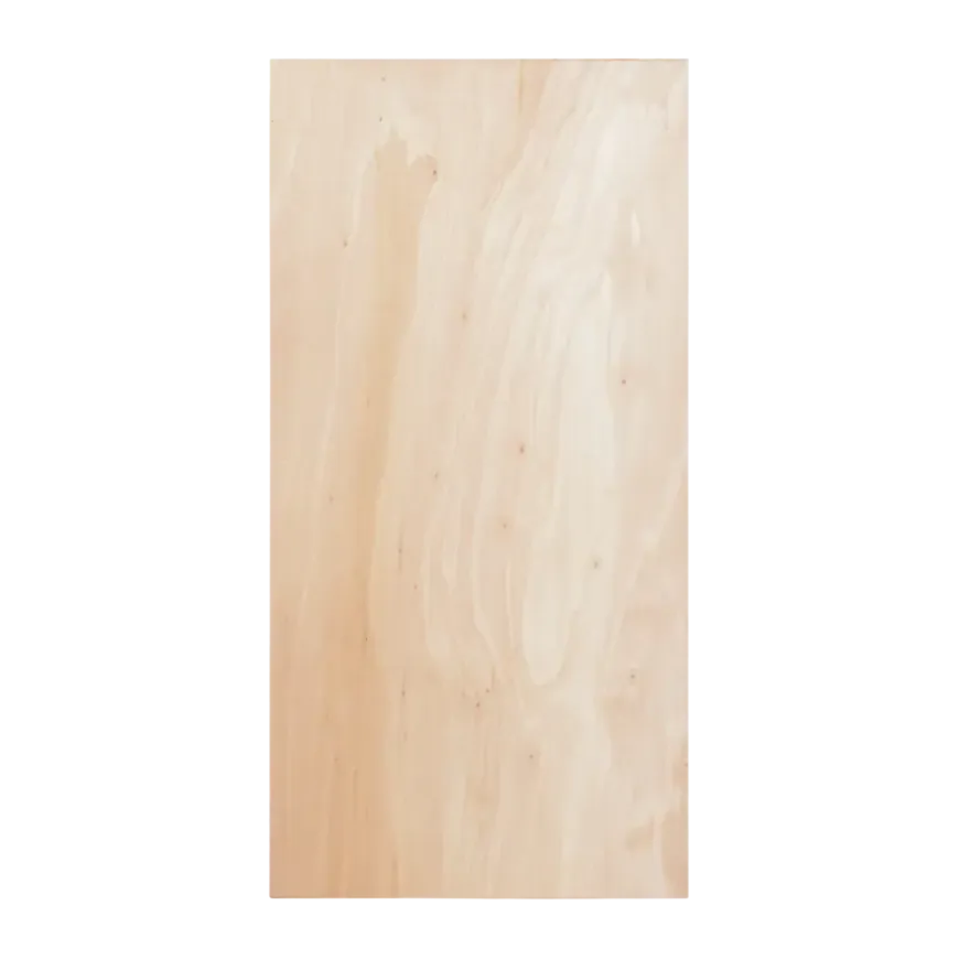 Multiplex plaat hardhout voor binnen 122 x 61 cm 12 mm