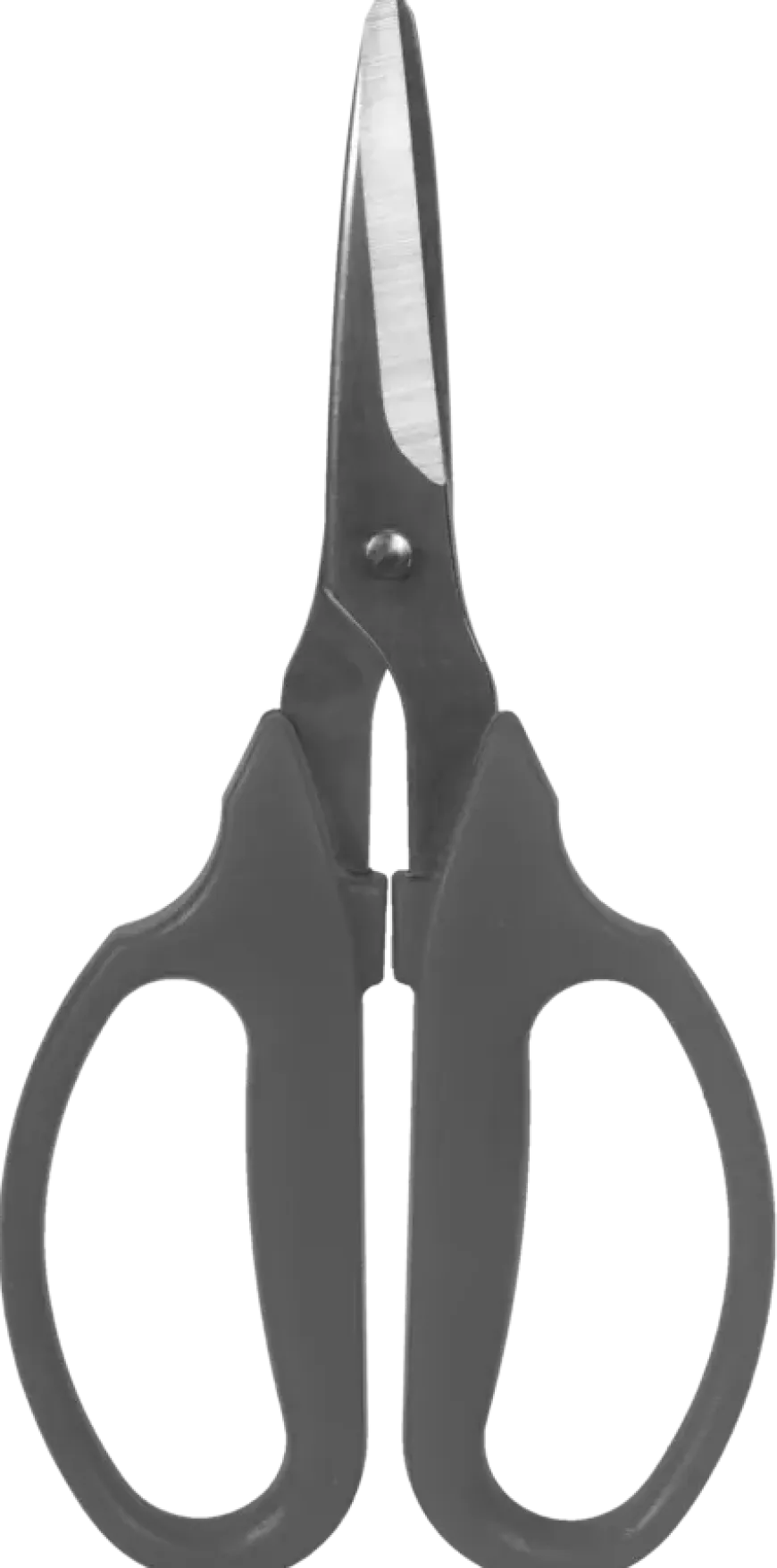 Multischaar