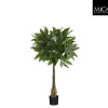 Mica Decorations Pachira in pot groen - h80xd60cm