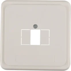 Peha Standard Afdekplaat USB wit