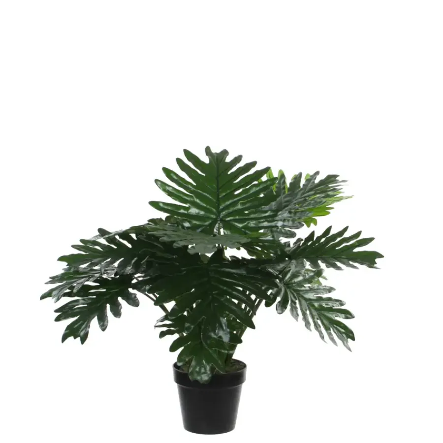 Mica Decorations Philodendron in plastic pot groen 60 cm
