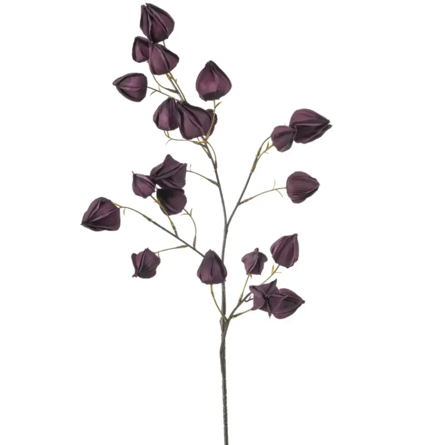 Emerald Physalis spray paars 90cm