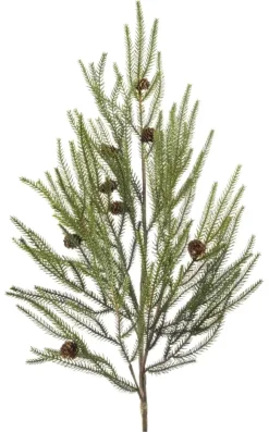 Emerald Pine branch met cones