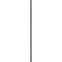 Plank eiken zwart 19x195 mm 250 cm